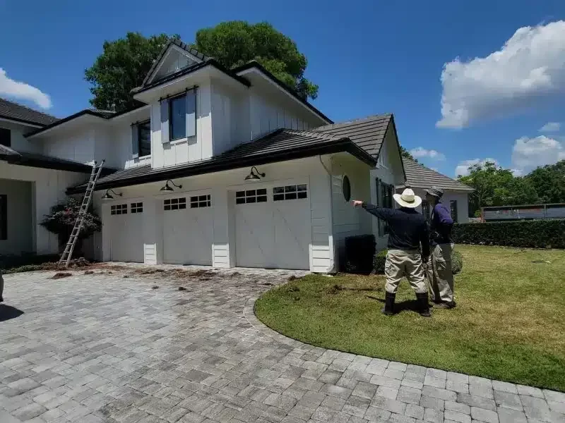 professional exterior cleaning